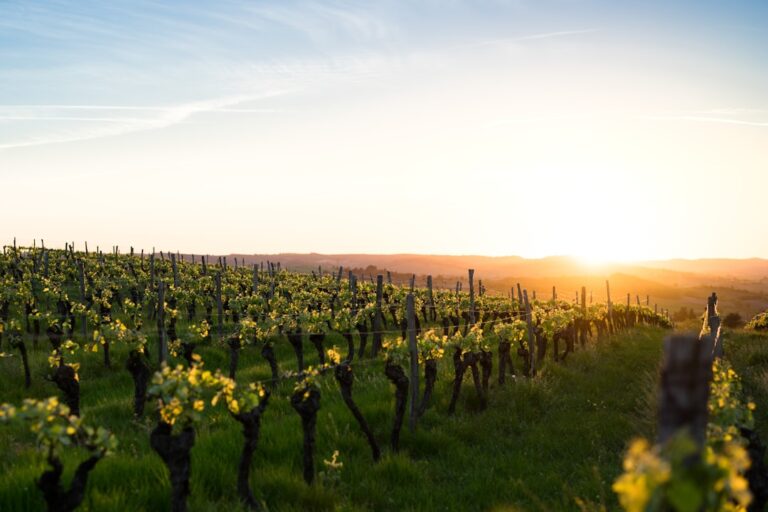 Paris – Champagne en autocar